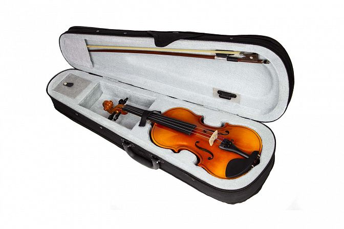 Фото Скрипка Livingstone L-V100 4/4