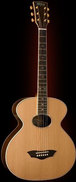 Фото Washburn WB400SWK