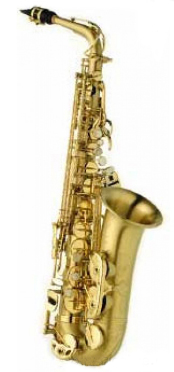 Саксофон альт Eb SELMER Super Action 80 SERIE II Jubilee (SA80II-SPG) в магазине Music-Hummer