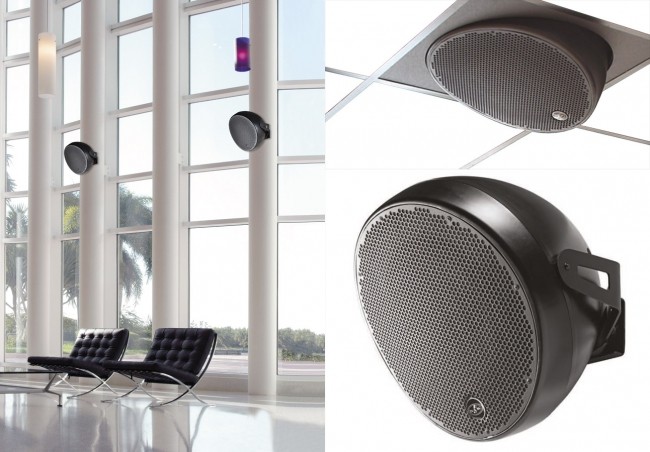 Фото DAS AUDIO OVI-12