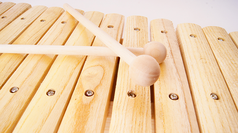 Фото Ксилофон Fleet FLT-XL15A