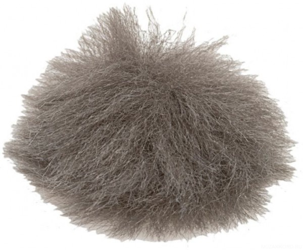 Фото DPA DUA0571