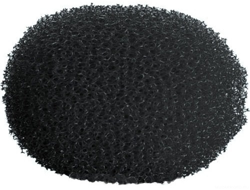 Фото DPA DUA0560