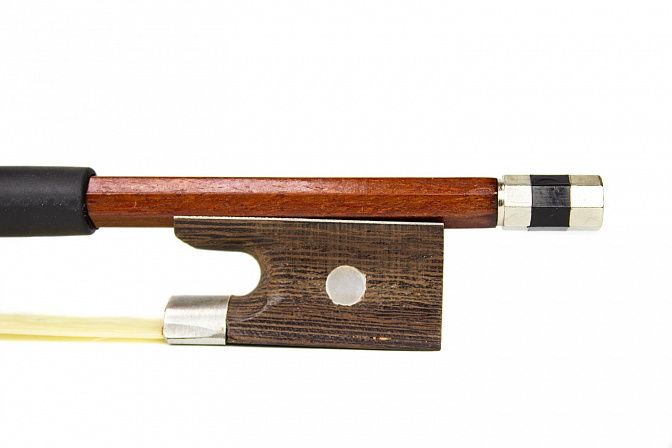 Фото Скрипка Livingstone L-V100 4/4