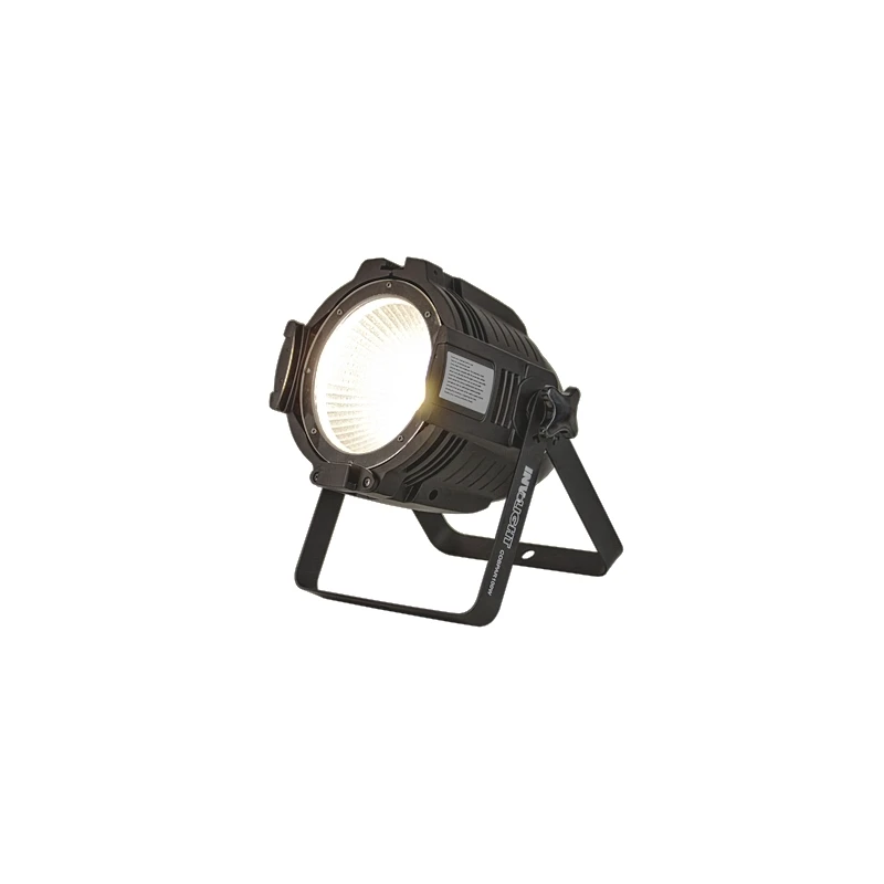 Фото Involight COBPAR100W