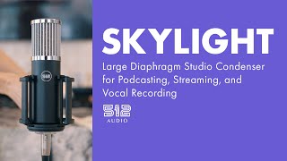 Фото Микрофон 512 Audio Skylight