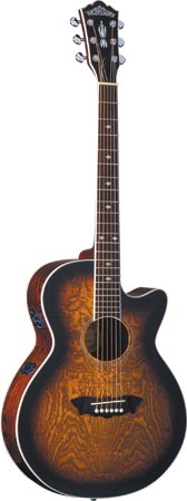 Фото WASHBURN EA18 (AN, B, TR, TS)