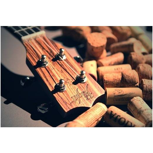 Фото Укулеле сопрано FLIGHT DUS322 ZEB