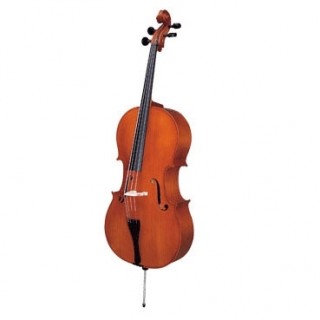 Фото Виолончель KARL HEINLICH THC-37 3/4