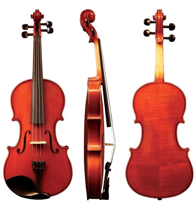 Фото GEWA Violin Allegro 3/4
