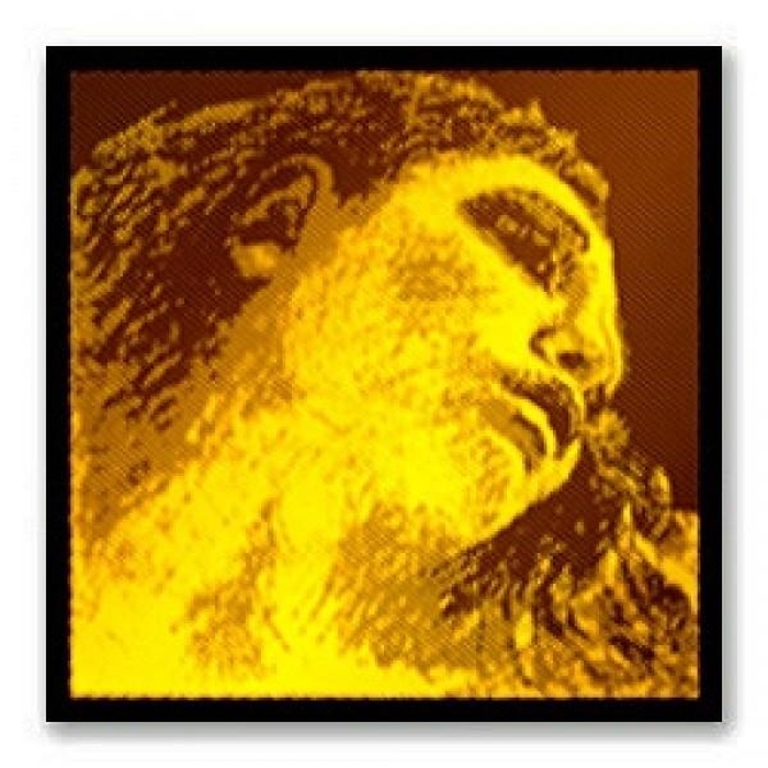 Фото Комплект струн для скрипки Pirastro 415091 Evah Gold Violin