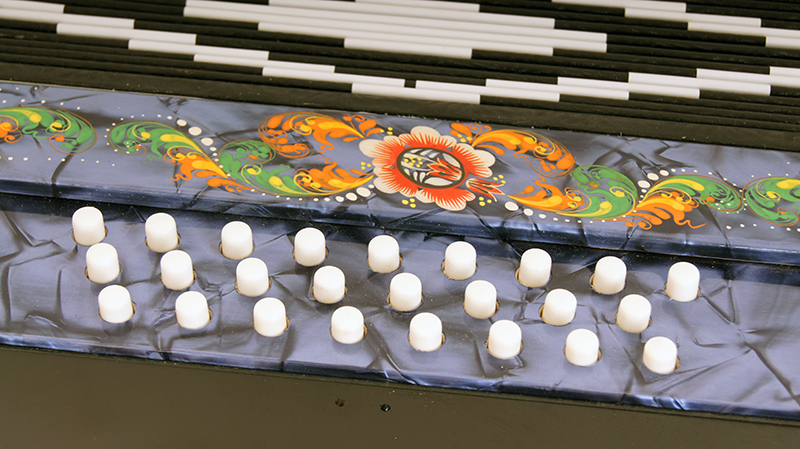 Фото Гармонь "Чайка 204" Шуйская гармонь S6XL-A-BL