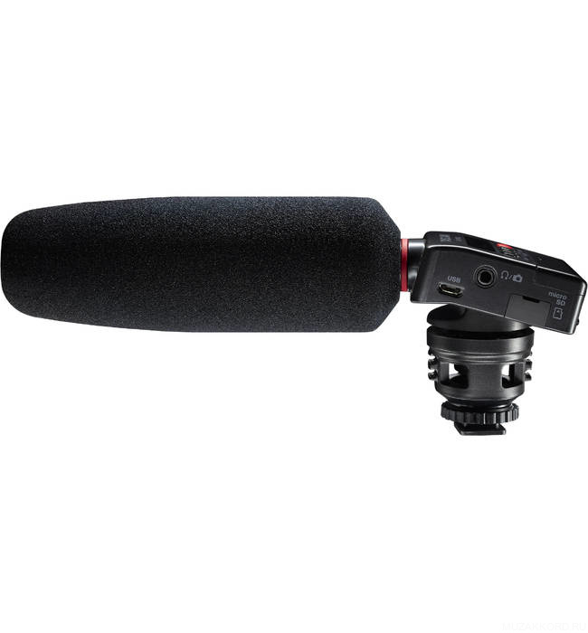 Фото Tascam DR-10SG