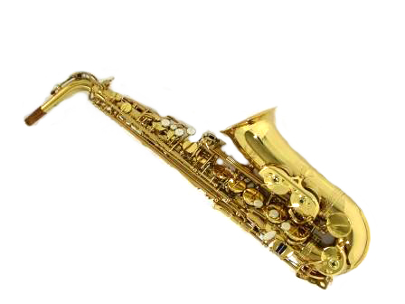 Саксофон Альт Prestini SA-510F в магазине Music-Hummer