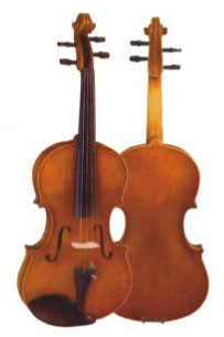 Фото Скрипка в комплекте Fleet FLT-VP1/2