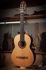 Классическая гитара NewTone Silena S N/T