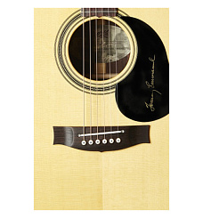 Maton TE1