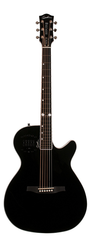 Фото Godin 046188 Doyle Dykes Multiac Steel HG