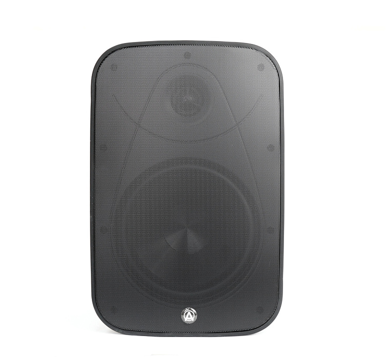 Фото Акустическая система AuraSonics DENSE-8T