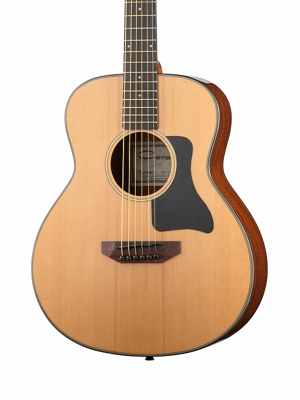 Фото Акустическая гитара Travel Caraya P301210