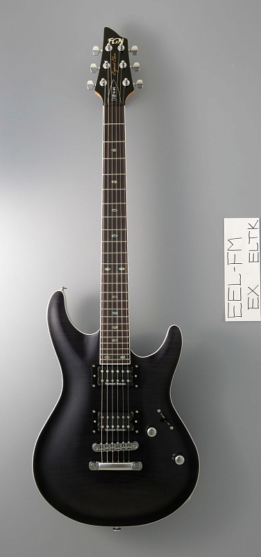 Фото Fujigen EEL-FM-HH/ TK