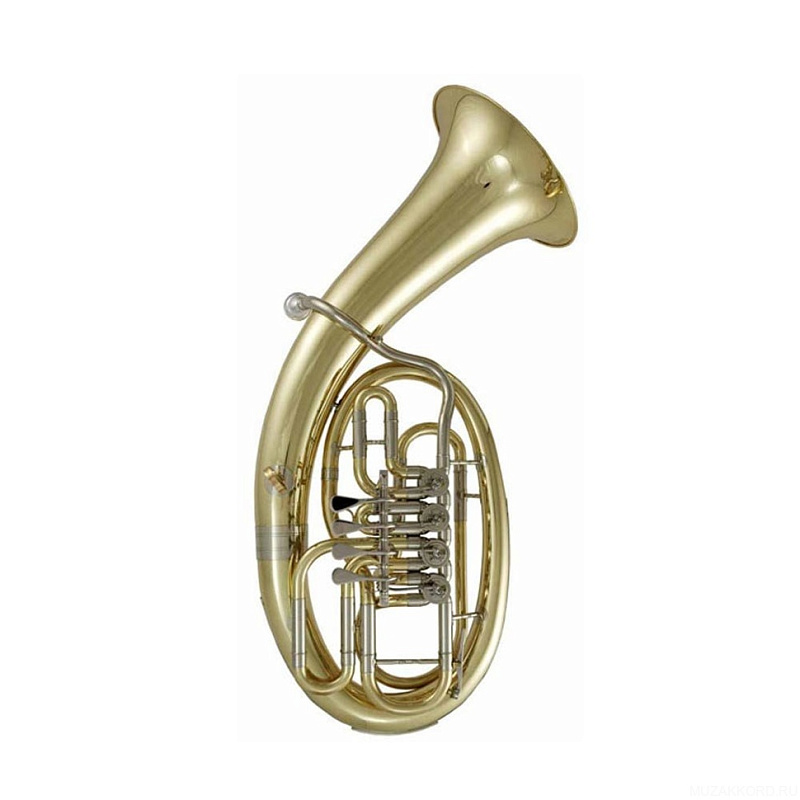 Фото ROY BENSON BH-202