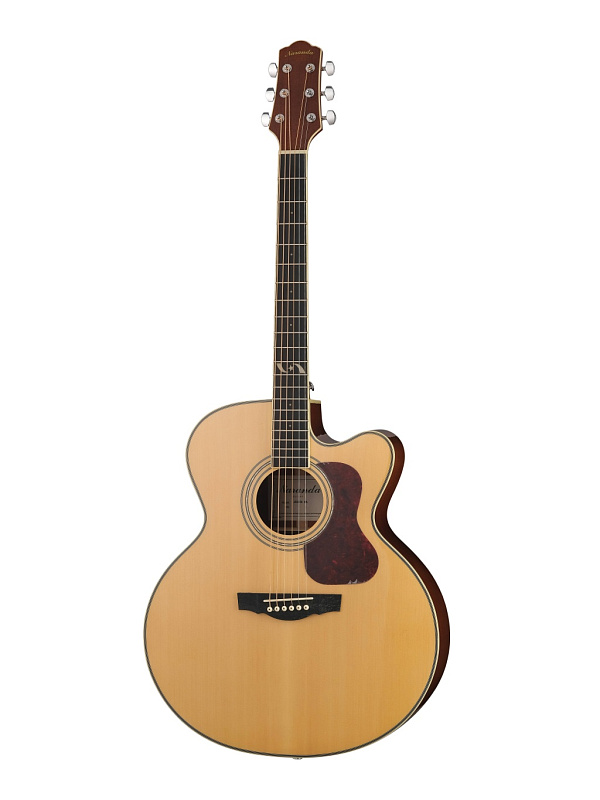 Фото Акустическая гитара Naranda JG303CNA