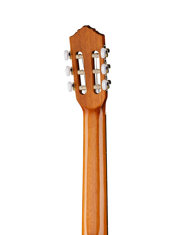 Фото Классическая гитара Ortega R121G Family Series 