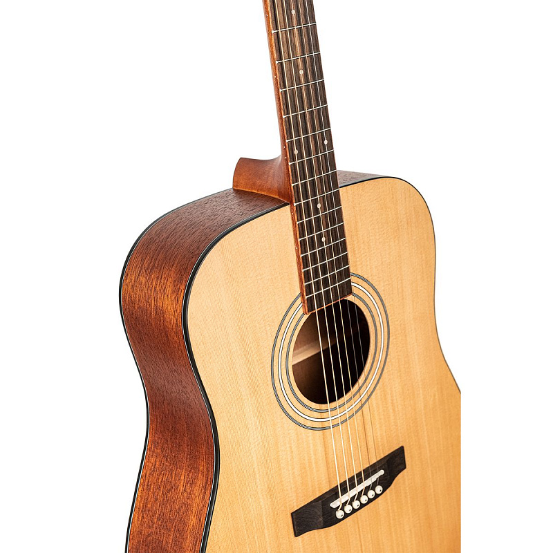 Фото Акустическая гитара Omni D-260S