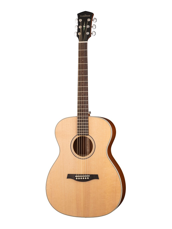 Фото Акустическая гитара Parkwood S22-GT