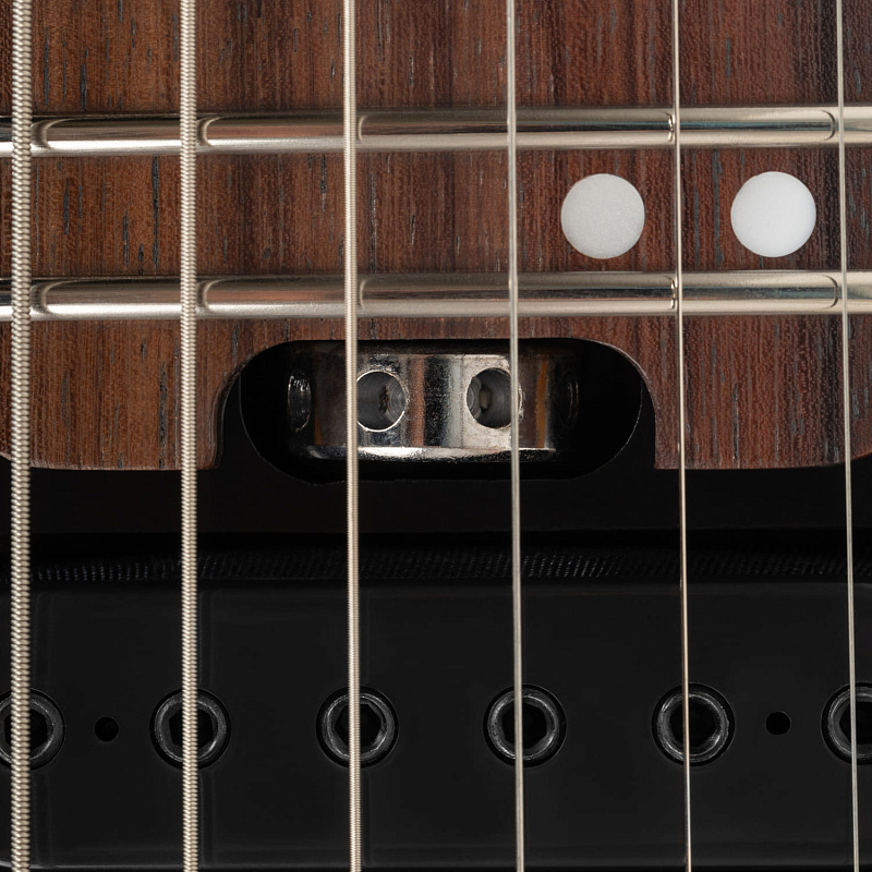 Фото Электрогитара EART GW2 Stealth Black