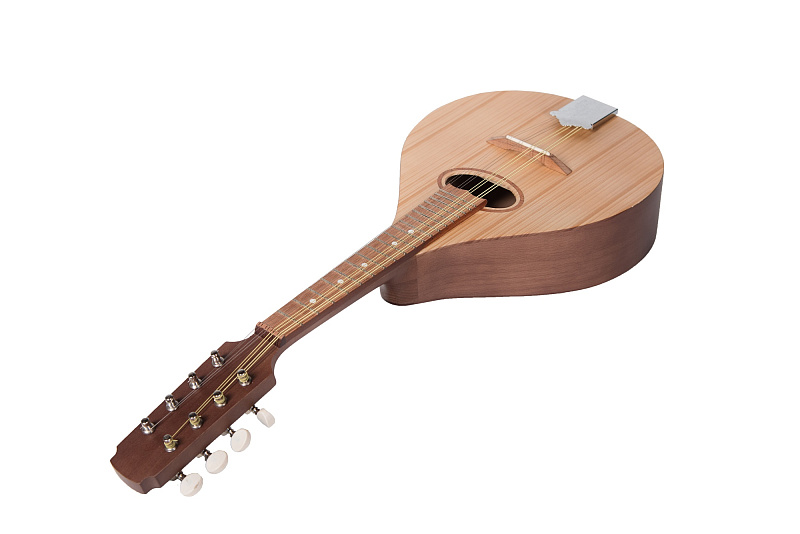 Фото P8BR Мандолина португальская, Doff