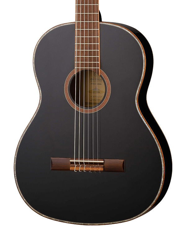 Фото Классическая гитара Ortega R221SNBK Family Series  