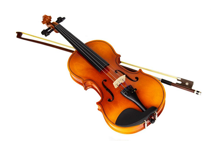 Фото Скрипка Livingstone L-V100 4/4