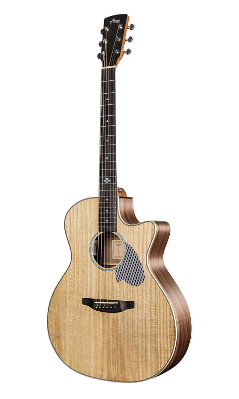 Фото Гитара акустическая Tyma TG-5P в комплекте с аксессуарами