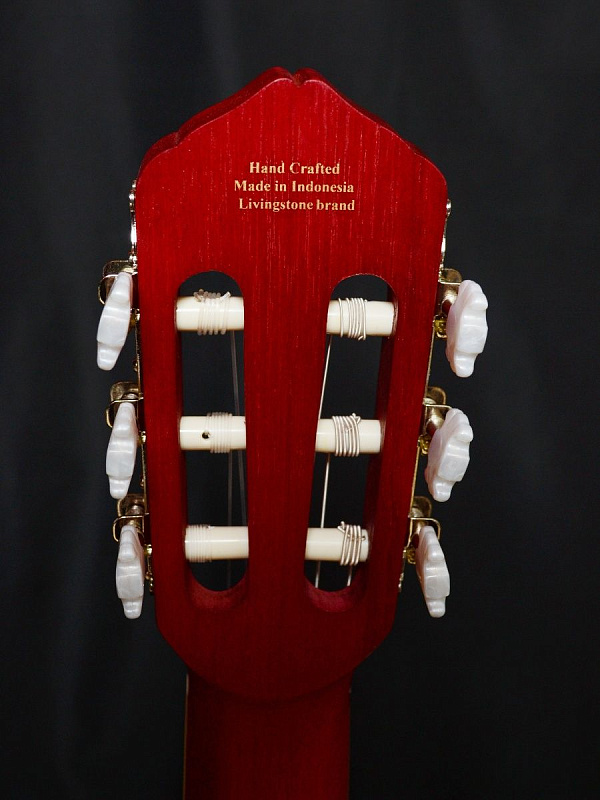 Фото Гитара классическая Livingstone Opera RD