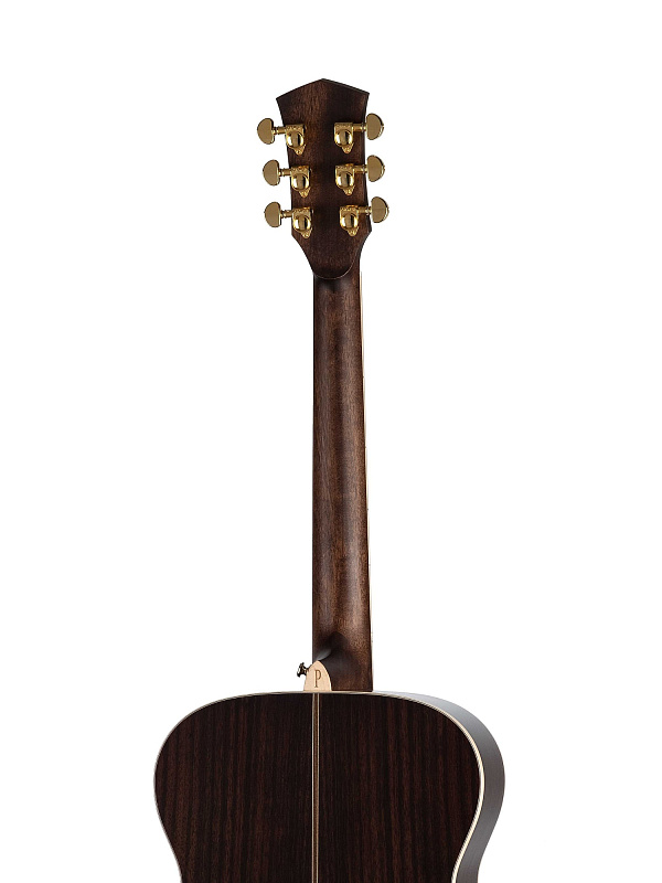 Фото Акустическая гитара Parkwood P820ADK-WCASE-NAT
