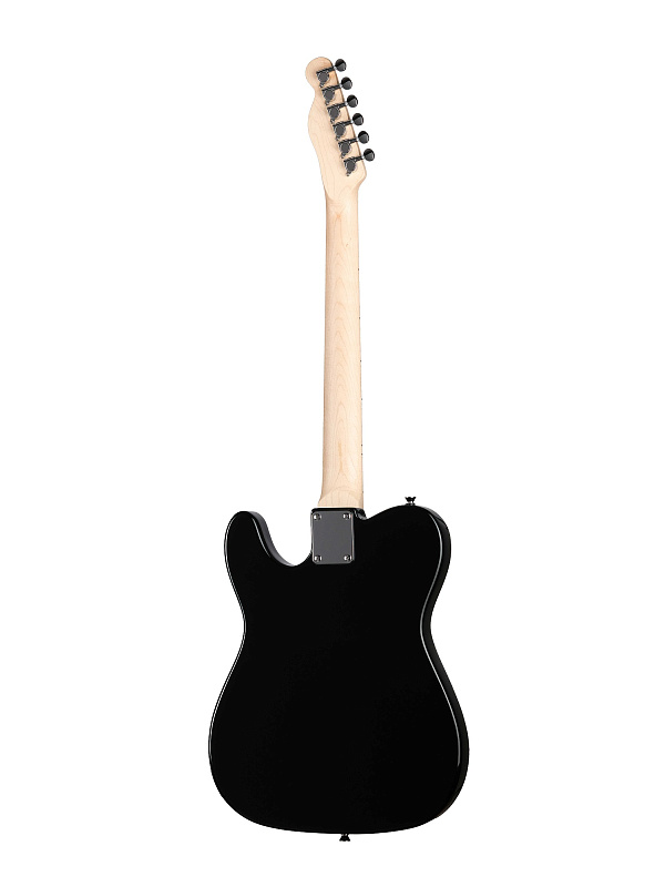 Фото Электрогитара Homage Telecaster SS HEG350BK  