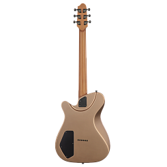 Электрогитара Covenant CUSTOM MODEL AE MGD в чехле с аксессуарами