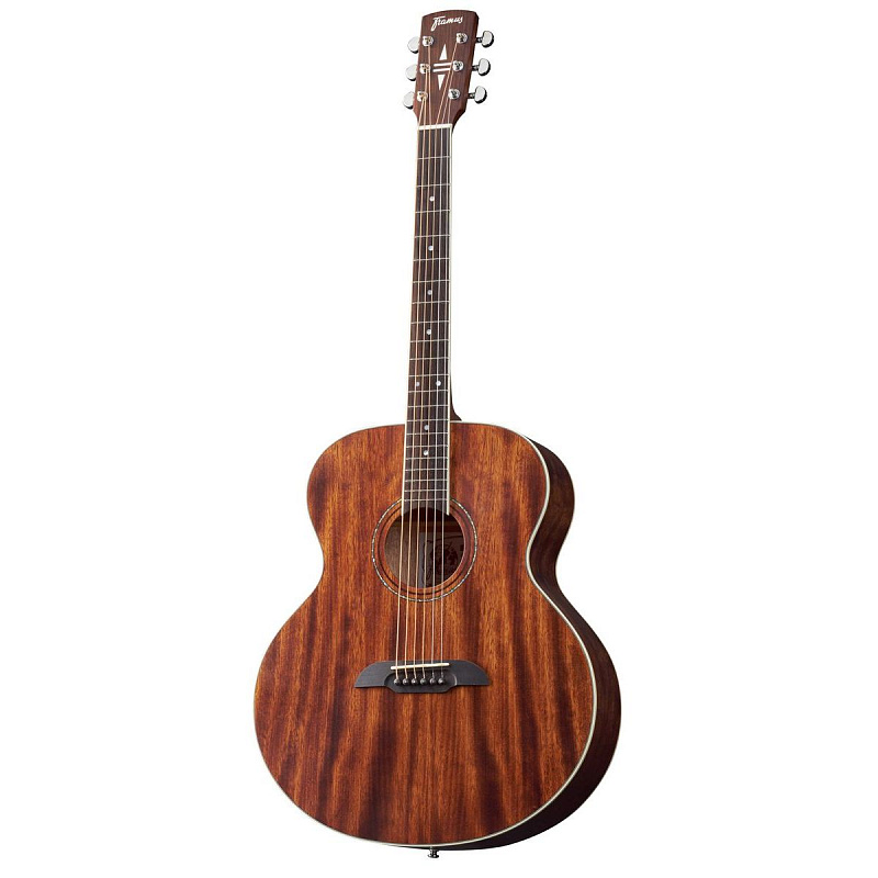 Фото Framus FJ 14 M NS