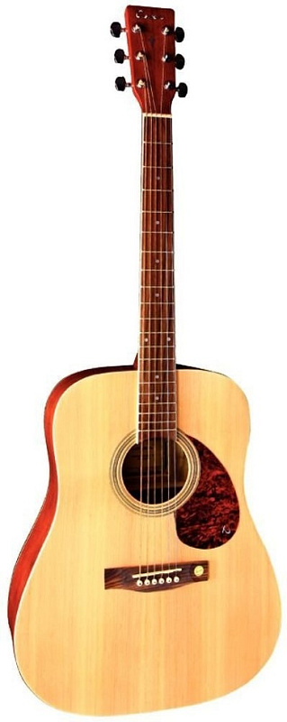 Фото TENSON D10 Dreadnought Natural