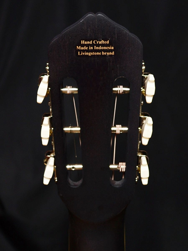 Фото Гитара Livingstone Folkblues BK 39" с вырезом