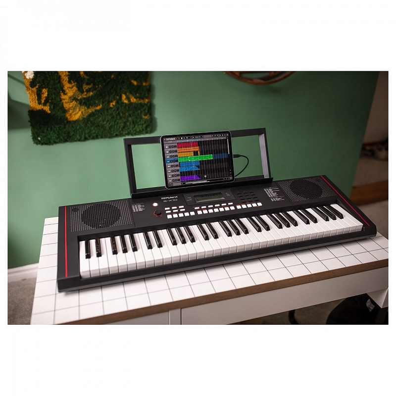 Фото Синтезатор с автоаккомпанементом Roland E-X10