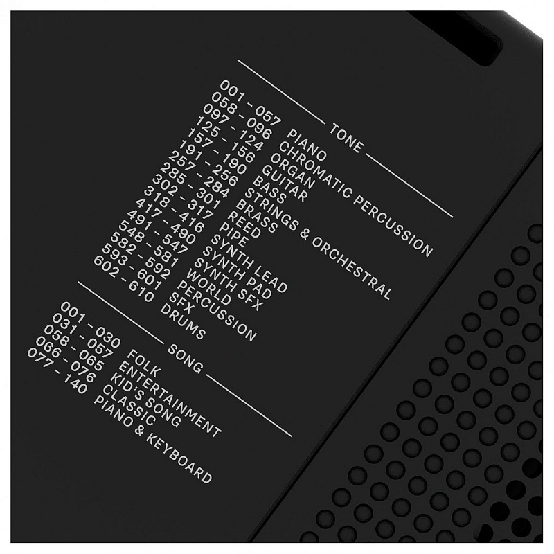 Фото Синтезатор с автоаккомпанементом Roland E-X10