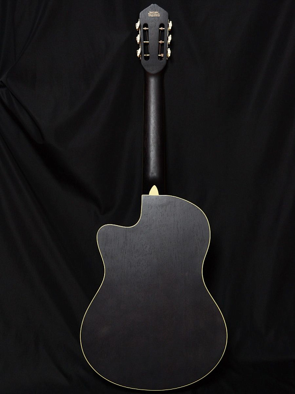 Фото Гитара Livingstone Folkblues BK 39" с вырезом