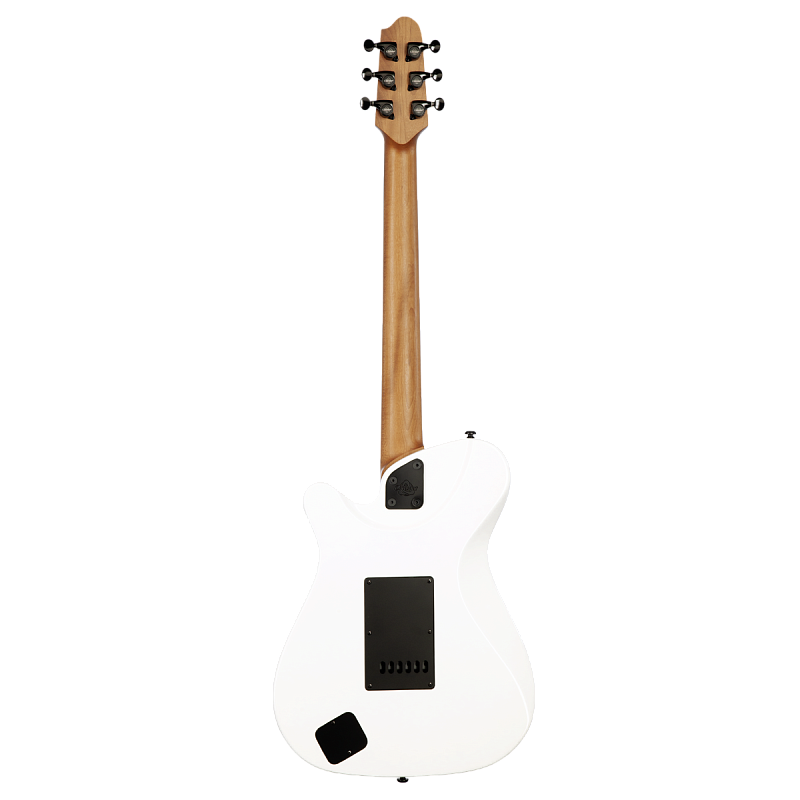 Фото Электрогитара Covenant CUSTOM MODEL ATE VW в чехле с аксессуарами