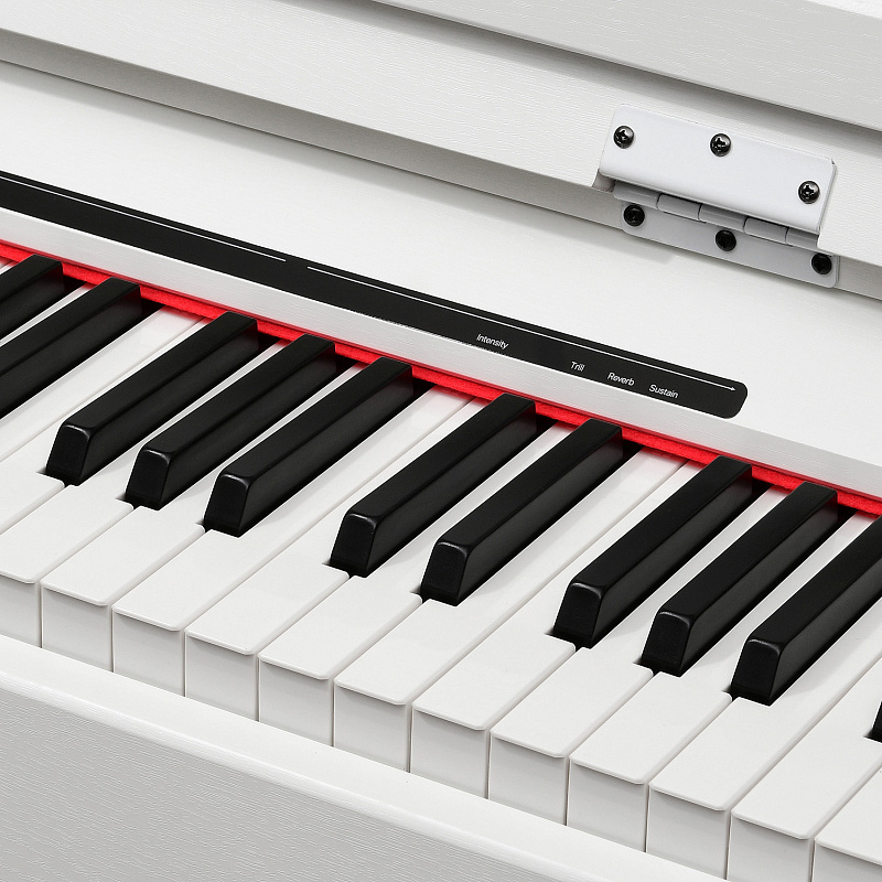 Фото Цифровое фортепиано EMILY PIANO D-54 WH