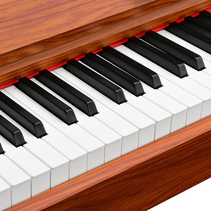 Фото Цифровое фортепиано EMILY PIANO D-52 BR