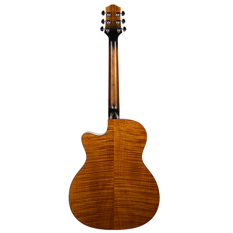 Фото Акустическая гитара Aion F10