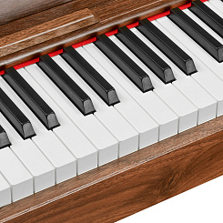 Цифровое фортепиано EMILY PIANO D-47 Walnut